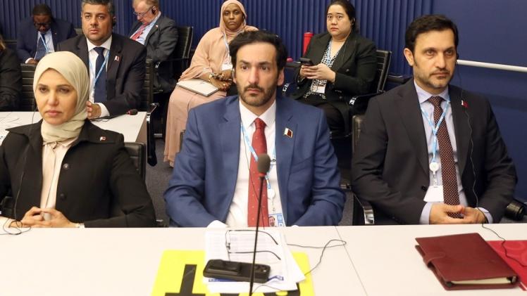 جانب من المشاركة القطرية