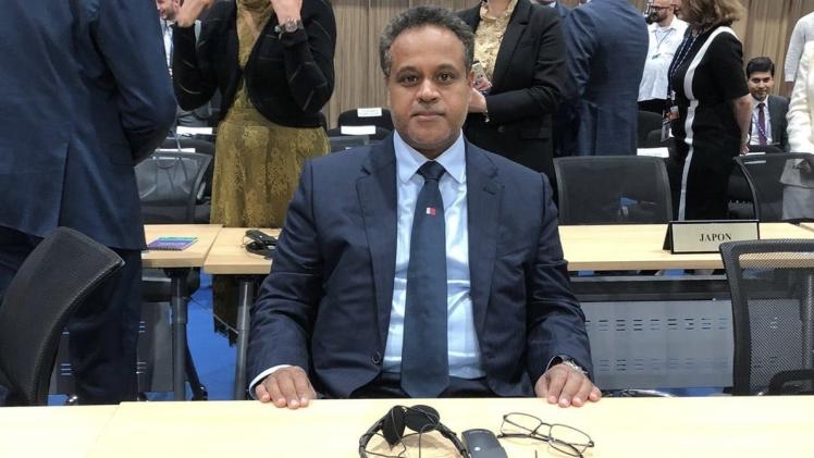 جانب من المشاركة القطرية