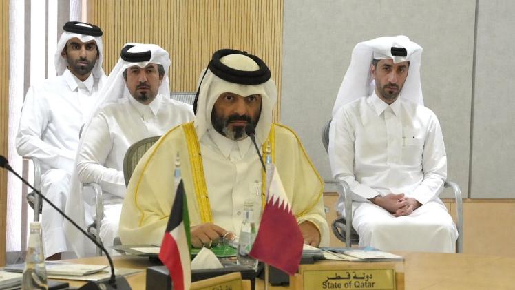 جانب من المشاركة القطرية في الاجتماع