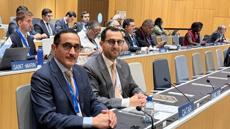 جانب من المشاركة القطرية