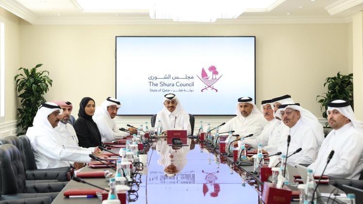 جانب من اجتماعات لجان مجلس الشورى