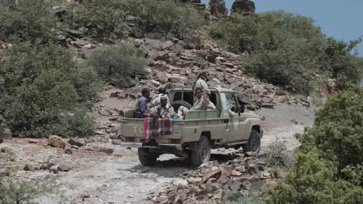 صورة أرشيفية