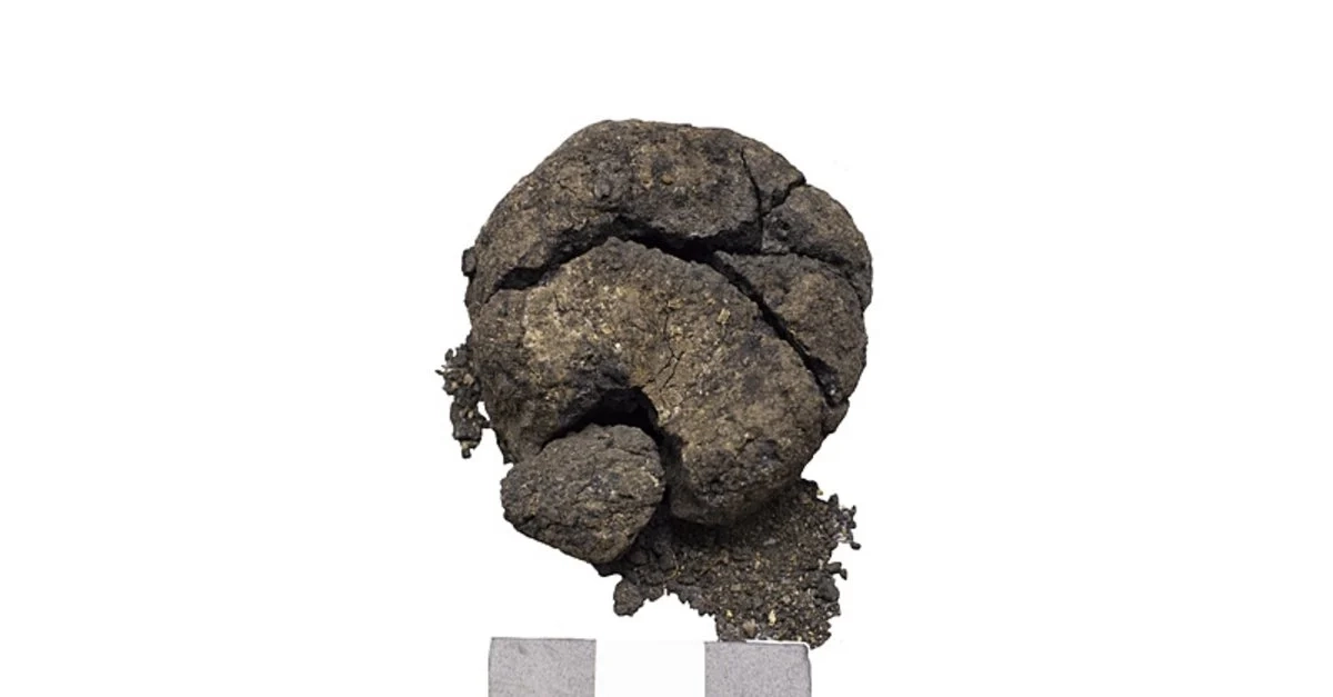 8600-year-old-leavened-bread-found-in-Catalhoyuk-Turkey