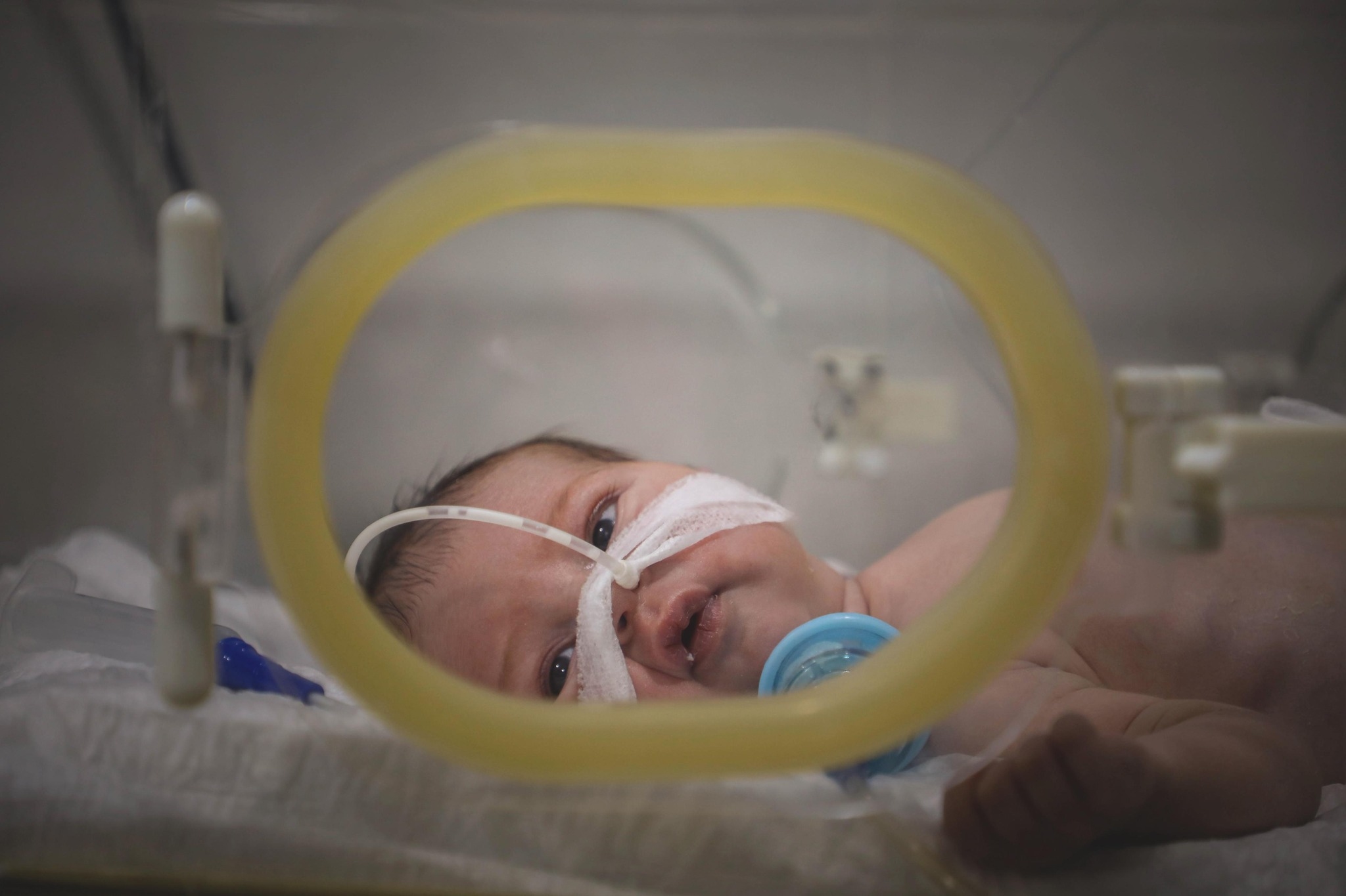 565676353_1254848840014029_1269380134639194865_n