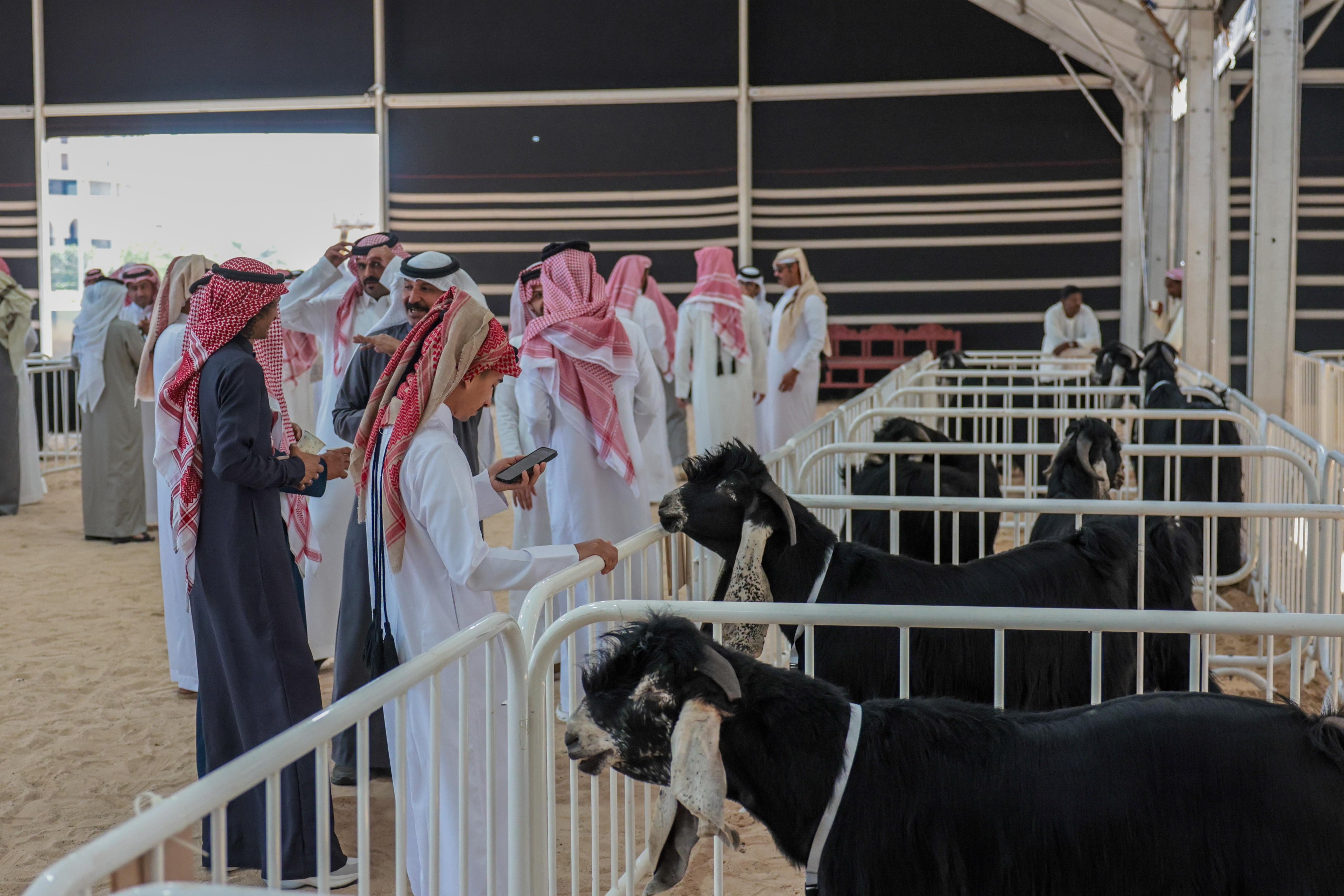 HA5fVHLXEAAz0b8.jfif